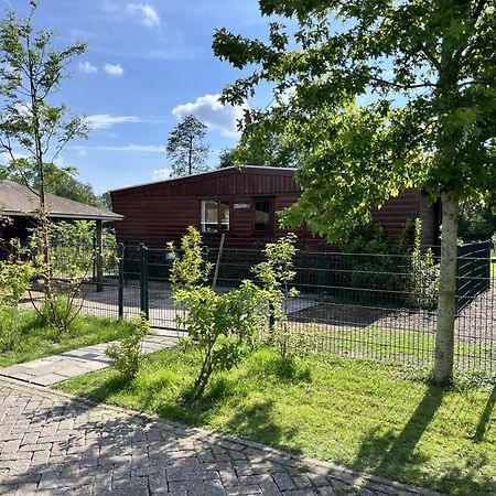 Vrijstaand Chalet Met Veel Buitenruimte En Veranda Zuid-Scharwoude Zewnętrze zdjęcie