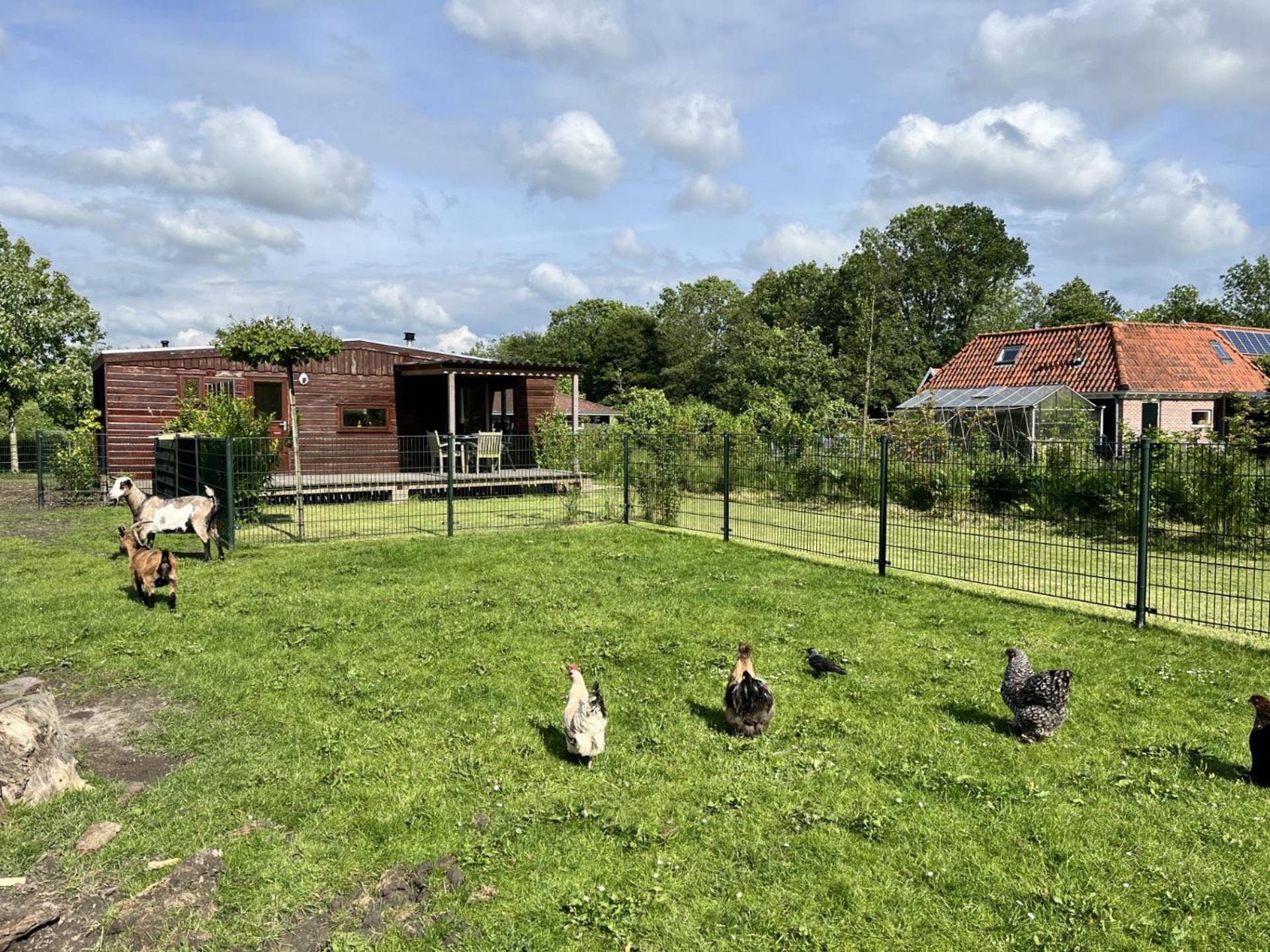 Vrijstaand Chalet Met Veel Buitenruimte En Veranda Zuid-Scharwoude Zewnętrze zdjęcie